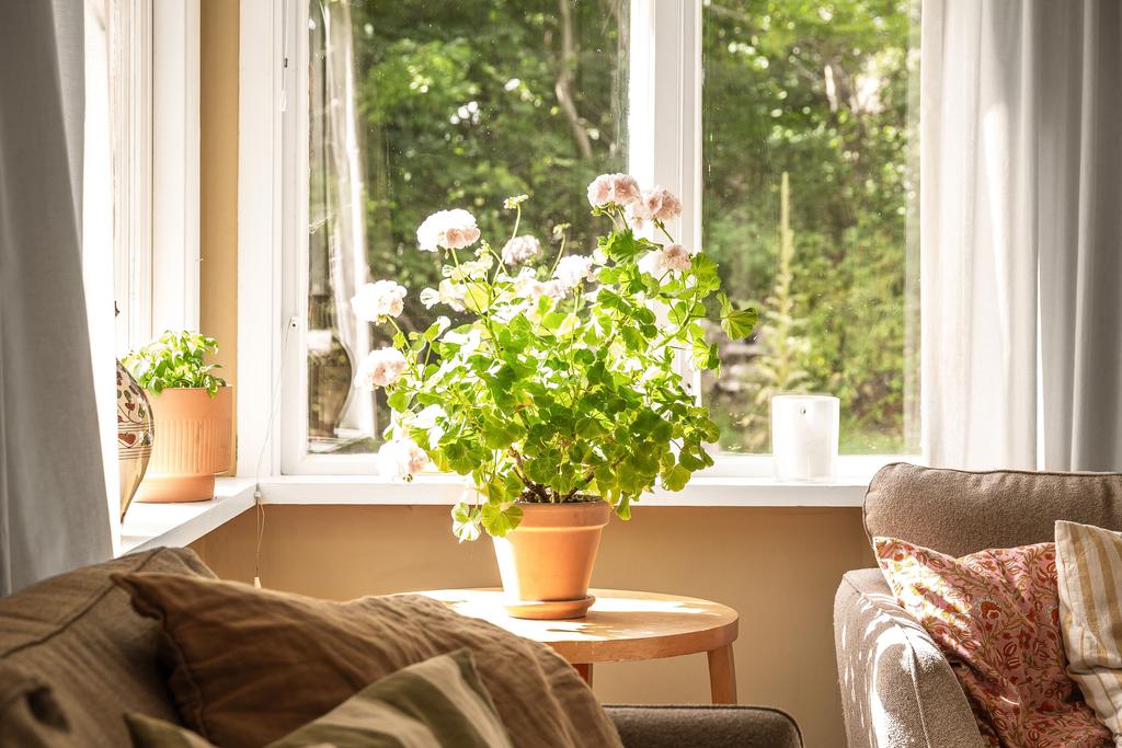 Här har ni naturen som utsikt och närmsta granne