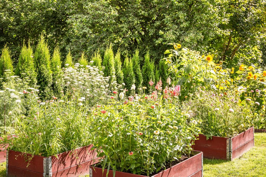 På flera ställen i trädgården har ni möjligheter att odla själva och få fram en såhär fin trädgård