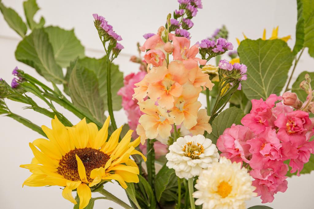 Vackra blommor från trädgården