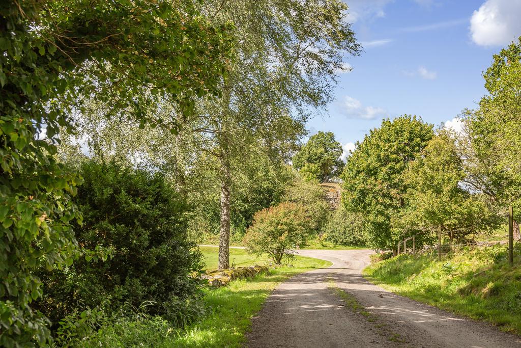 Lite längre in på grusvägen vid huset så har ni denna vyn