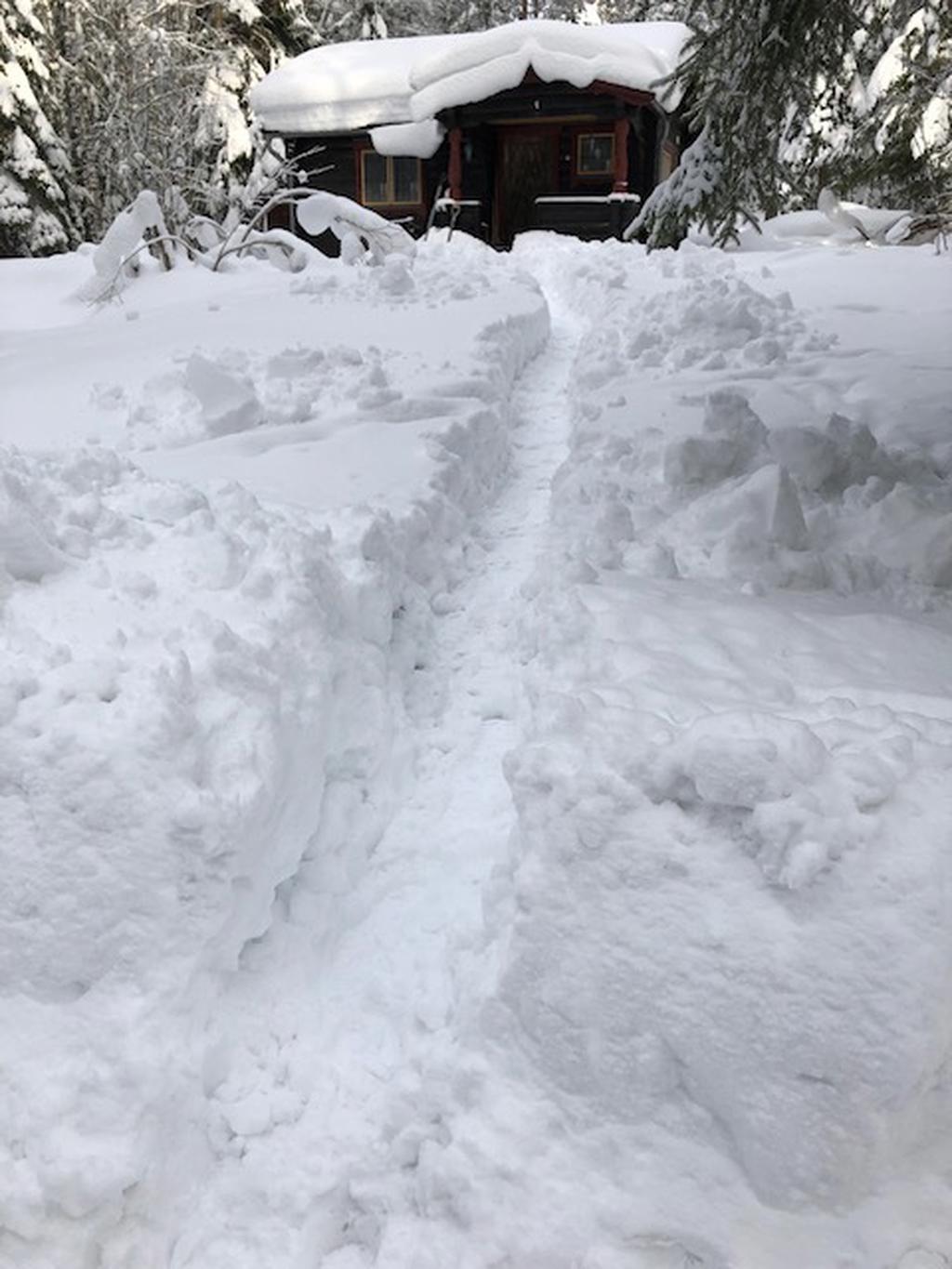 Bra vardagsträning - skotta mycket snö! Säljarens egen bild.