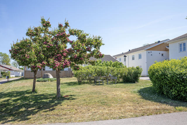 Lugnt och vackert område