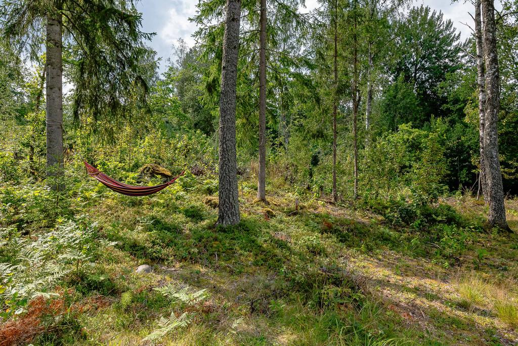 Delvis naturtomt för enkel skötsel - naturligtvis med hängmattevänliga träd
