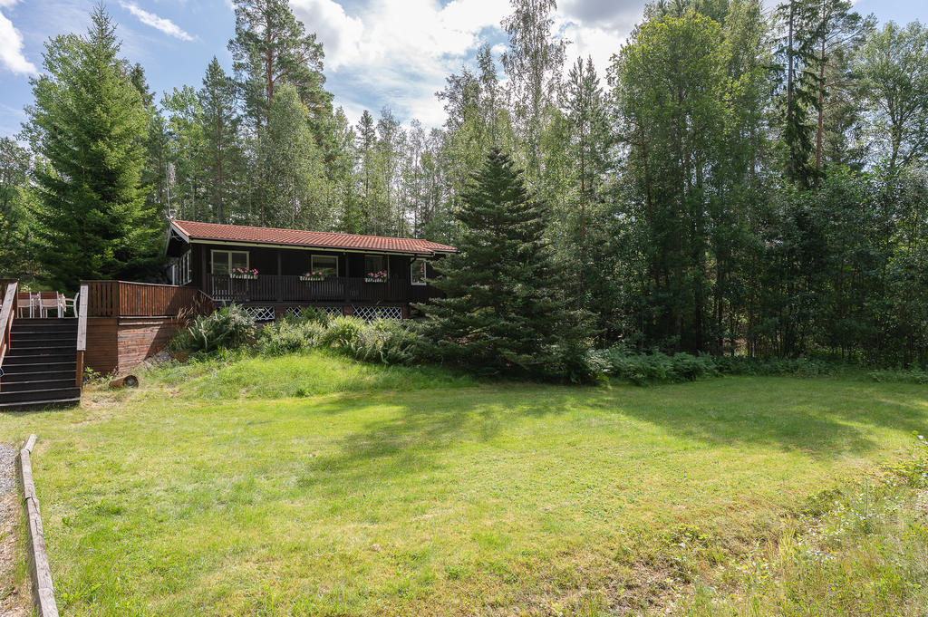 Vacker uppvuxen tomt med gräsmatta på husets framsida