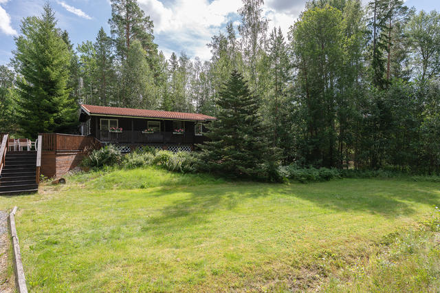Vacker uppvuxen tomt med gräsmatta på husets framsida