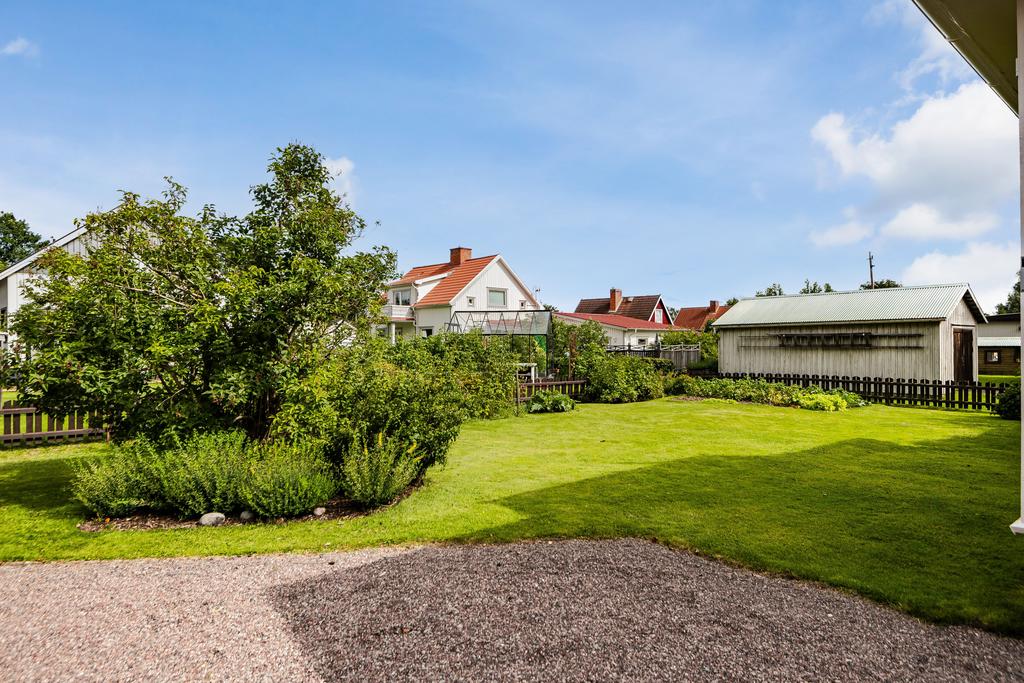 Trädgården mot grannskapet.