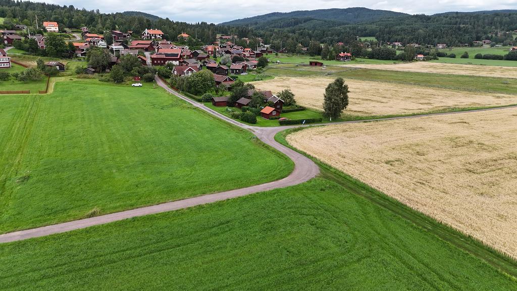 Vägen ner till bryggan, bastuhuset och båtplatserna.