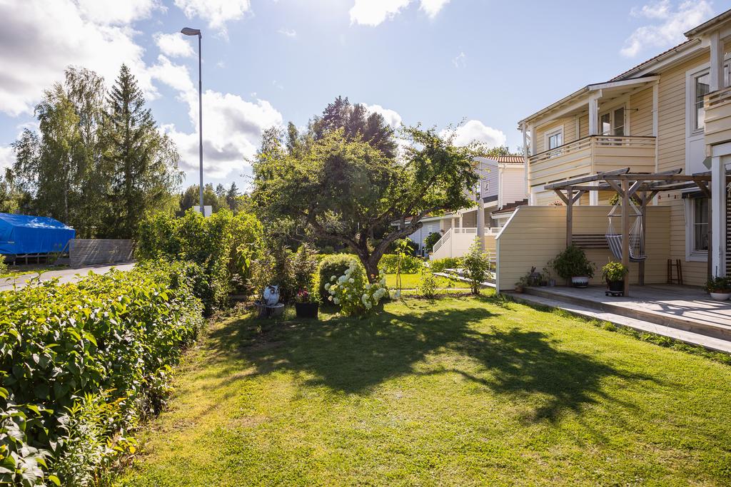 Trädgård