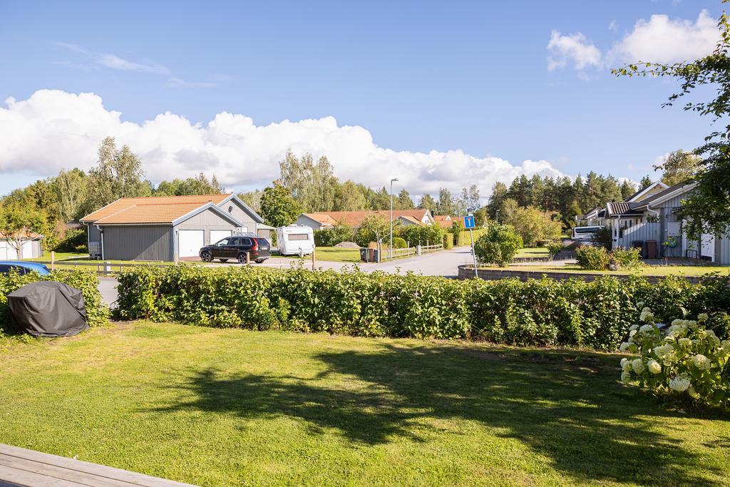 Trädgård