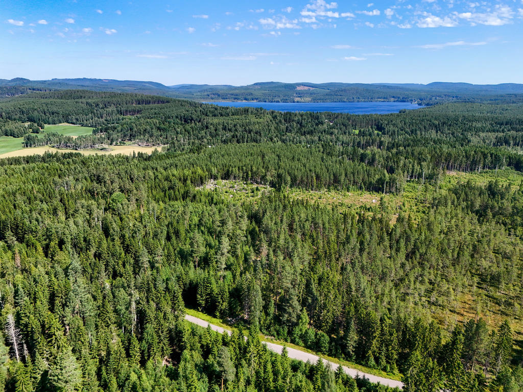 Vy mot sjön Lill-Nien. 
