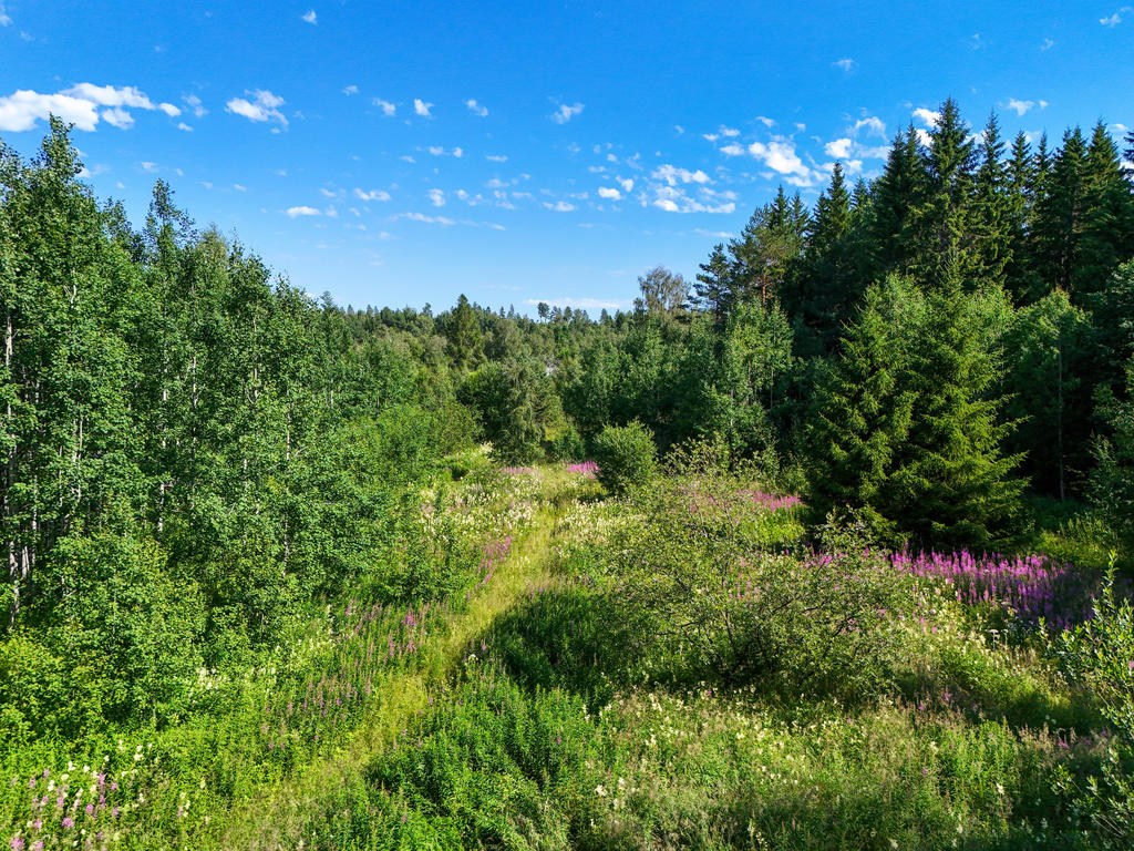 Del av fastigheten med ängsmark och fina gångstråk i vacker natur.
