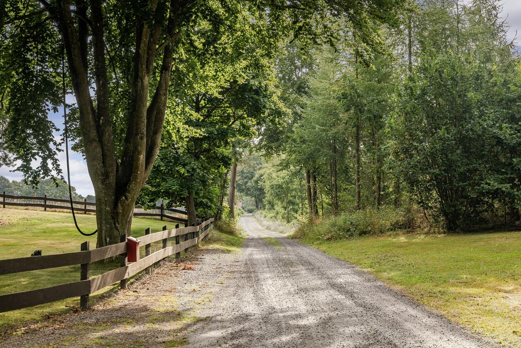 En mysig liten grusväg upp till huset. Här bor man ostört i naturen