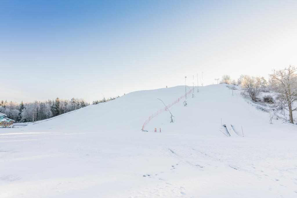 Skidbacke i Vilsta