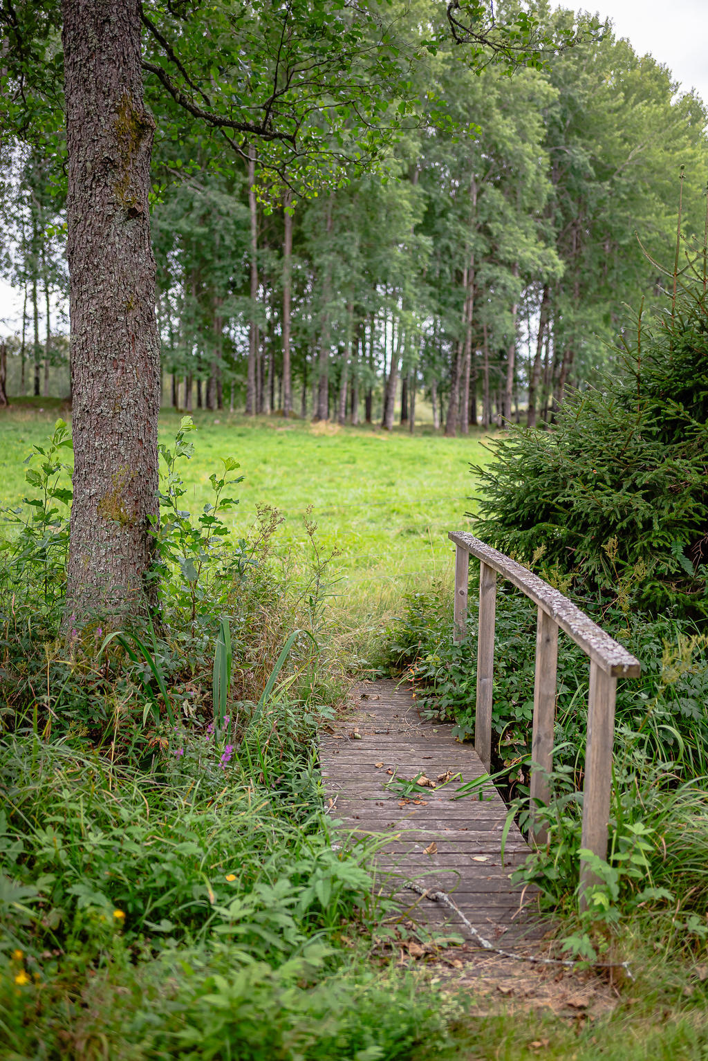 Gångbro över Kvarnbäcken