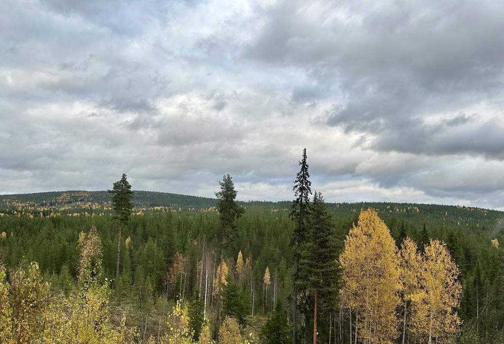 Utsikt från Europaväg 10