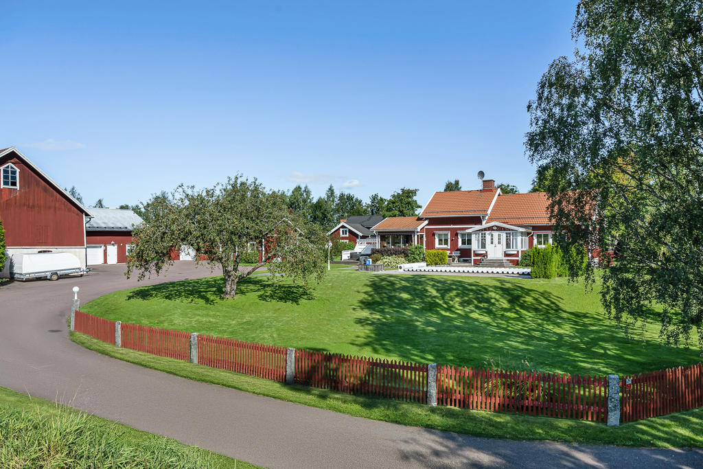 Vy över gården. 