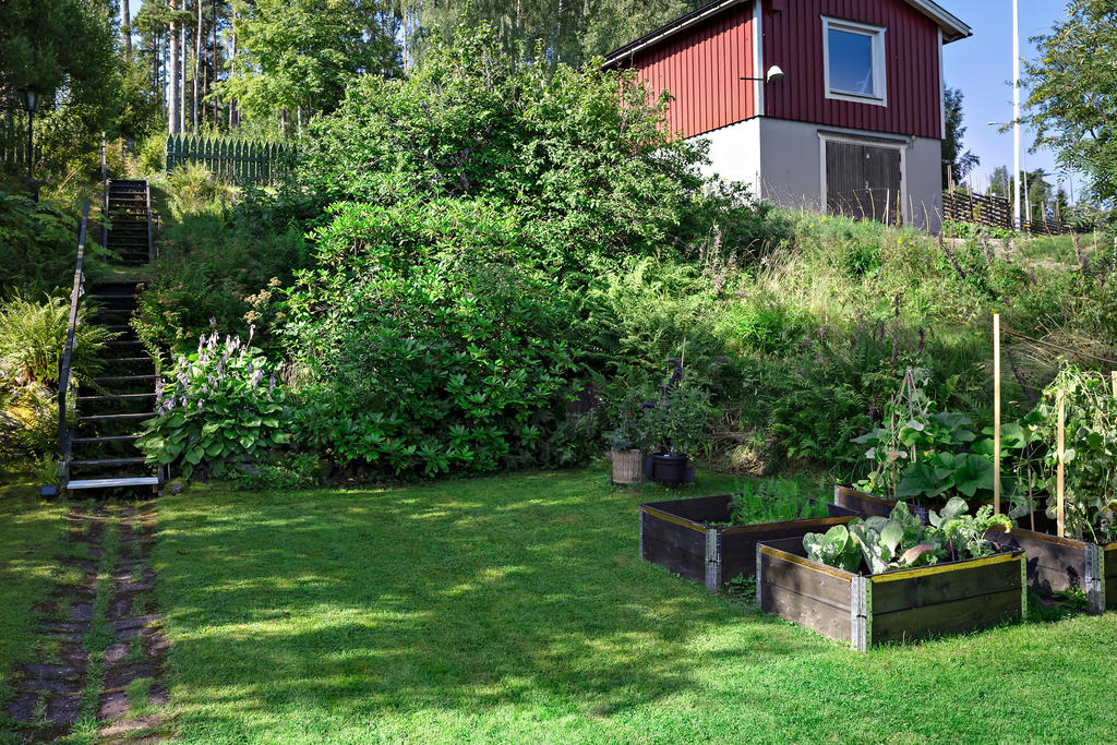 Trädgård.