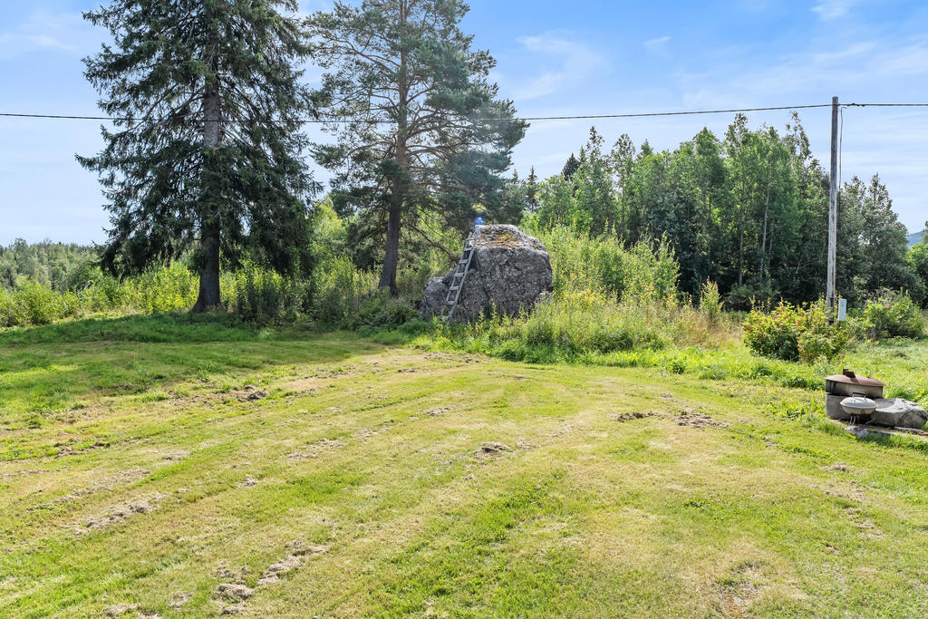 Stor trädgård med plana ytor