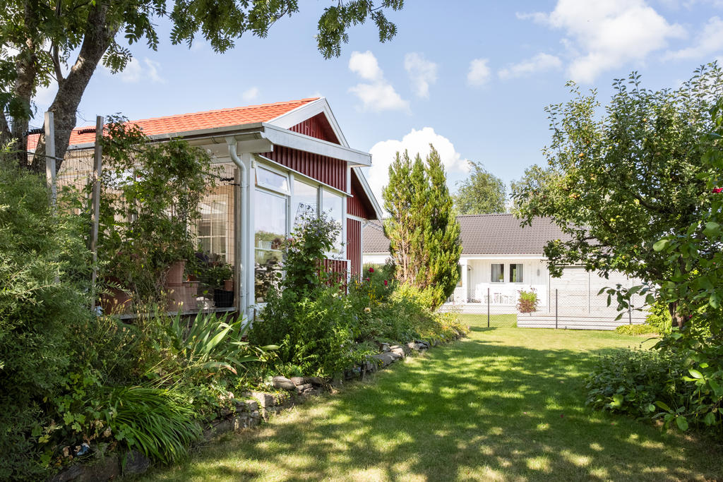 Lummig och grönskande trädgård
