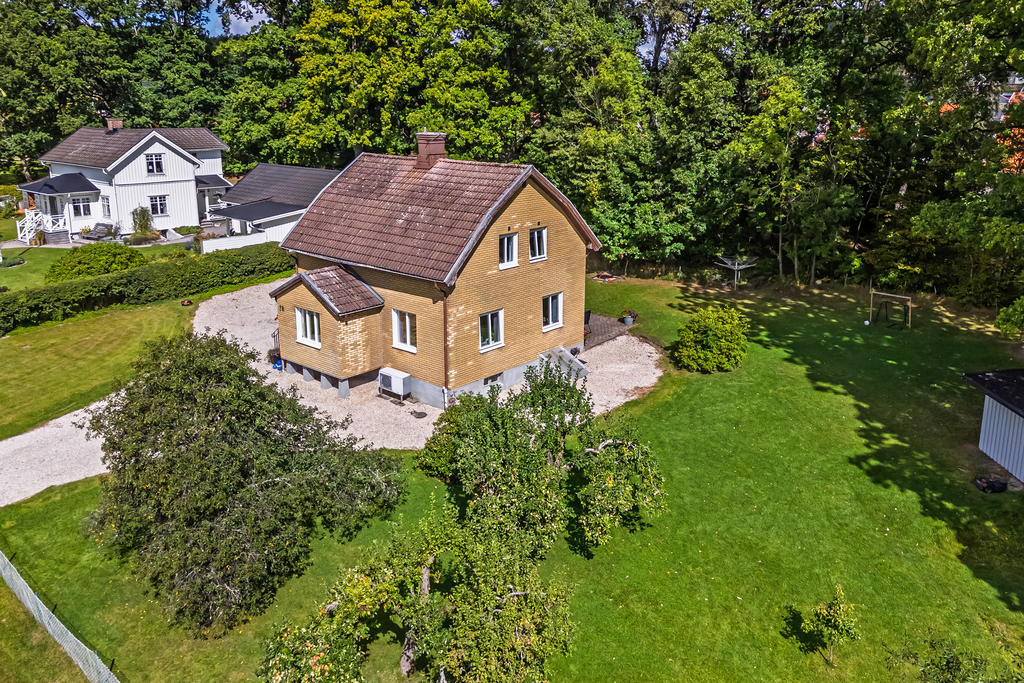 Stor trädgård