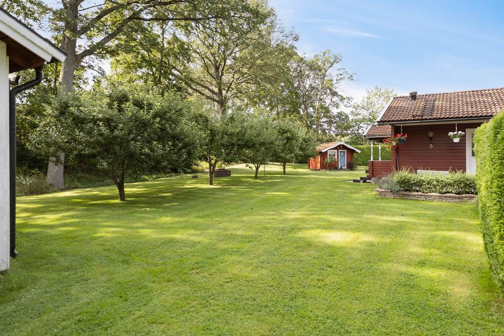 Trevlig plan trädgård med gräsmatta och fruktträd