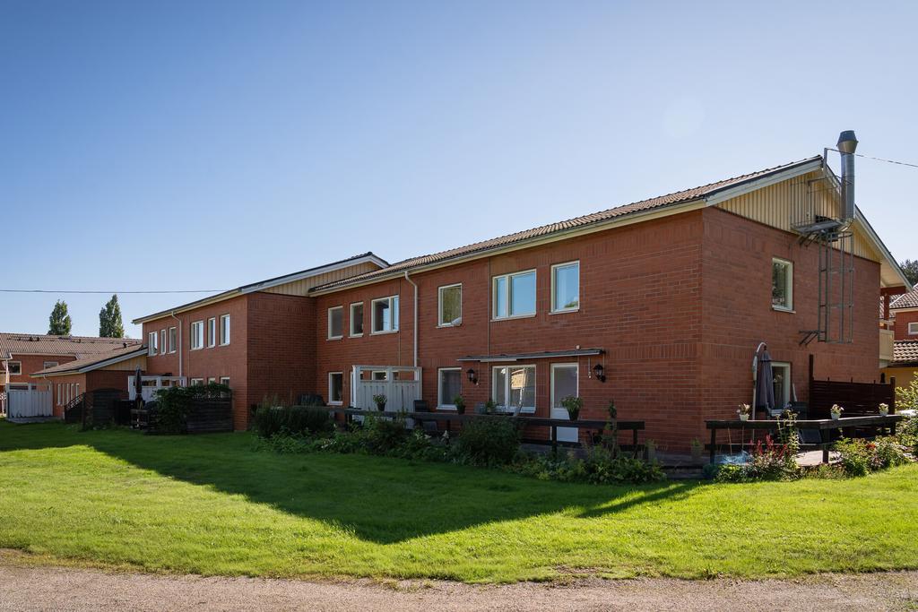 Baksida med eftermiddagssol (fotad på förmiddagen)