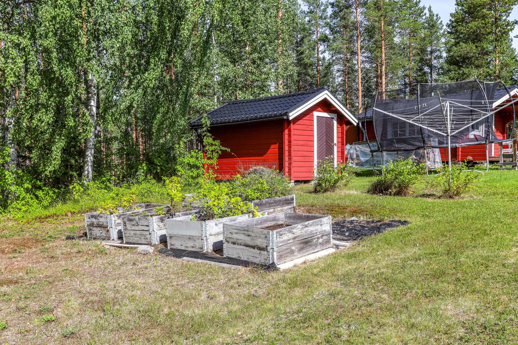 Trädgårdsland