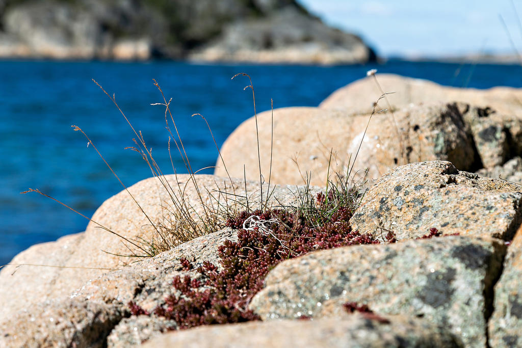 Miljöbild Resö