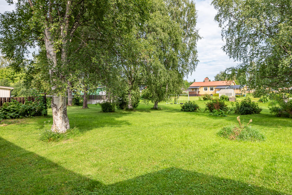 Allmänning utanför tomten!
