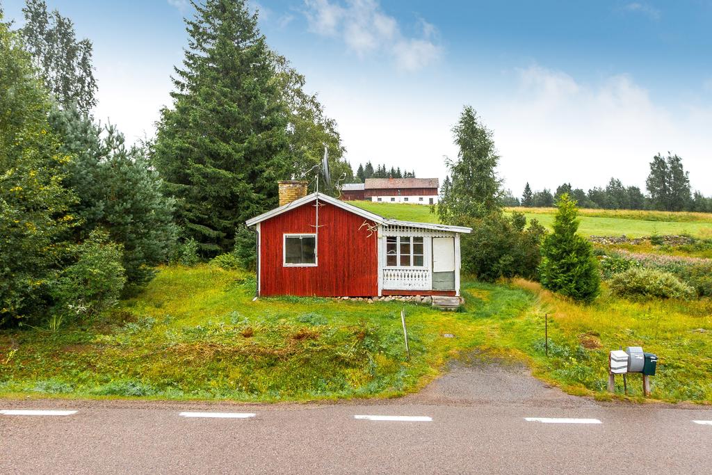 Exteriör