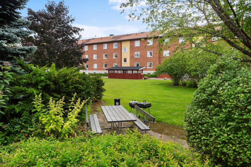 Föreningens gemensamma gård.