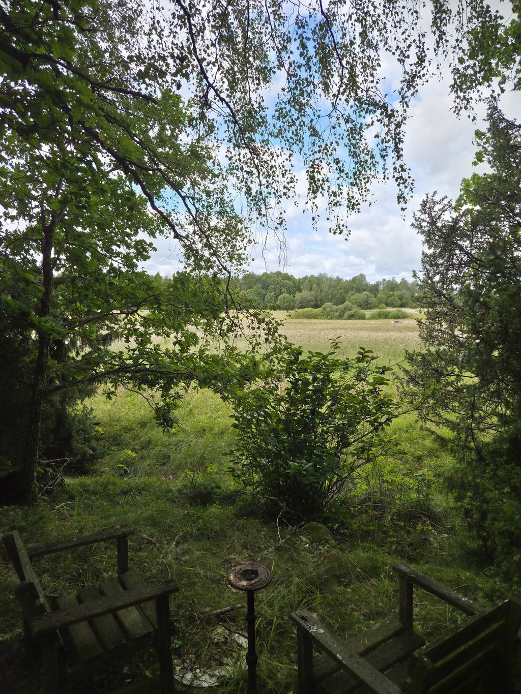 Utsikt över intilliggande åker