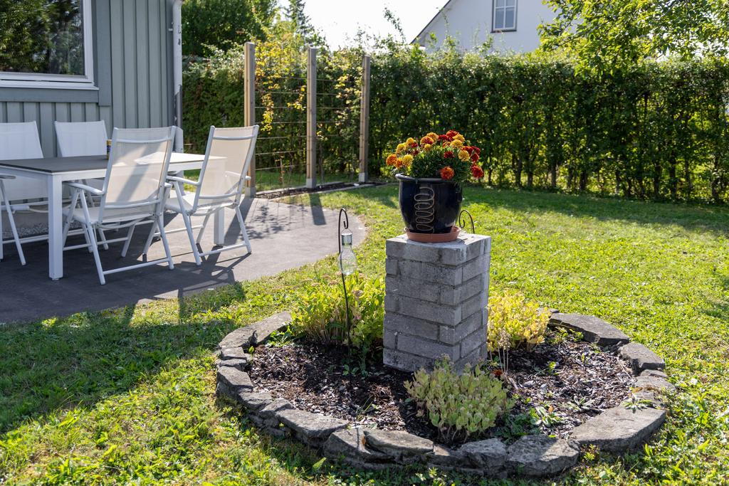 Trädgård