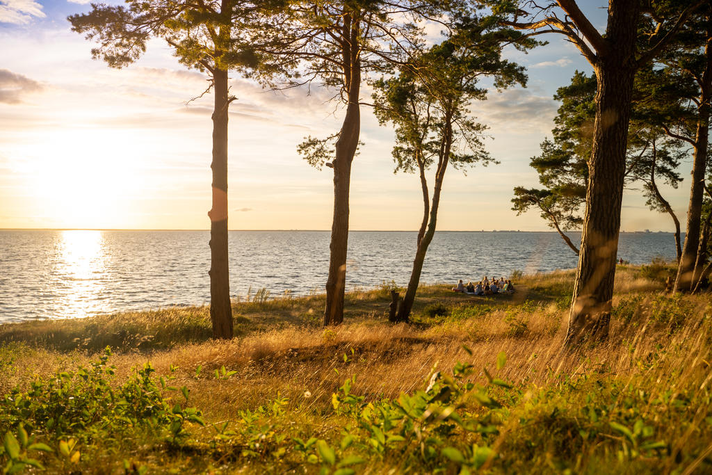 Picknick i solnedgång i Sandbergen - UpZone Studios, Öland & Co.