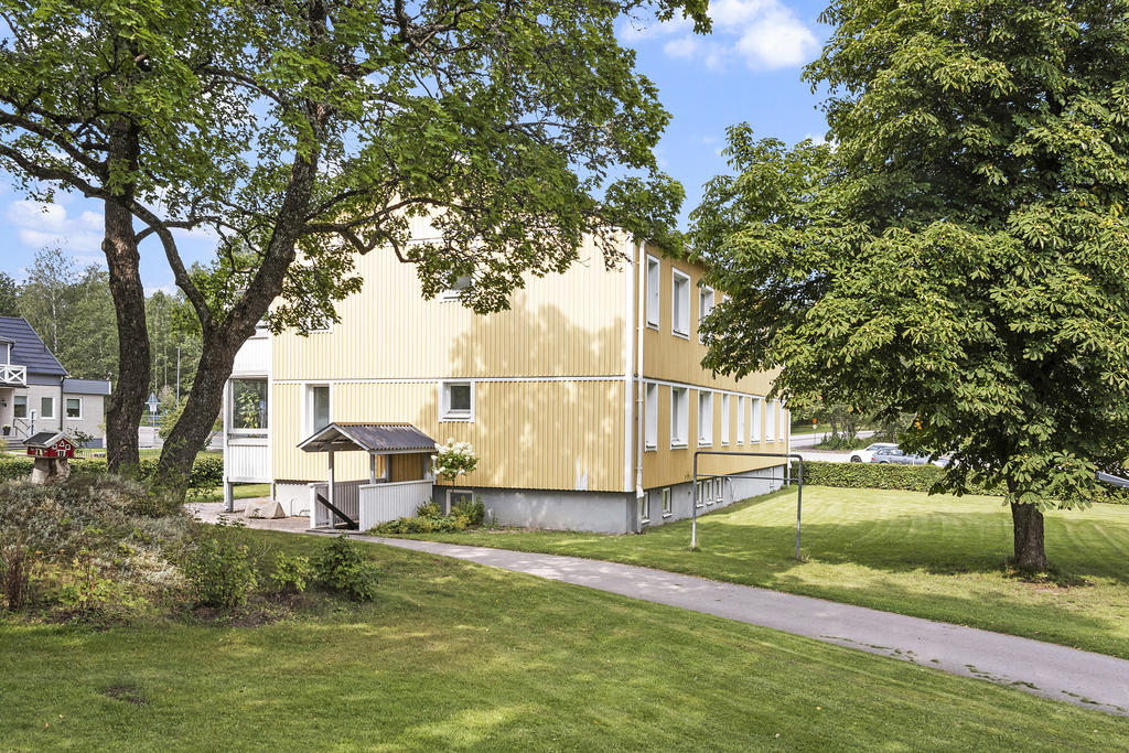 Lummig trädgård runt om