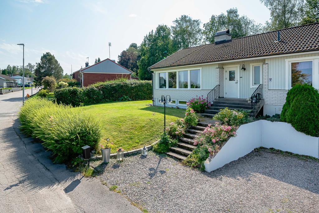 Gräsmatta framför huset