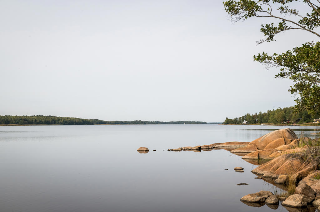Härlig miljö i närheten