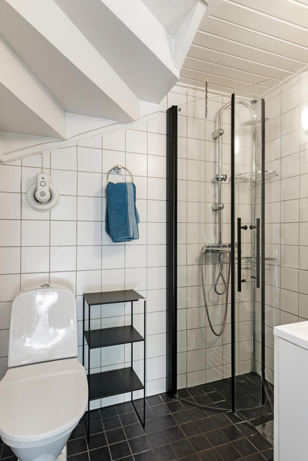 Dusch och wc under trappen