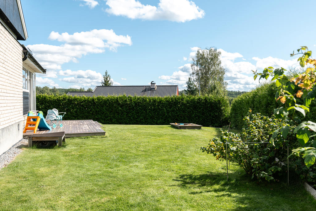 Trädgård