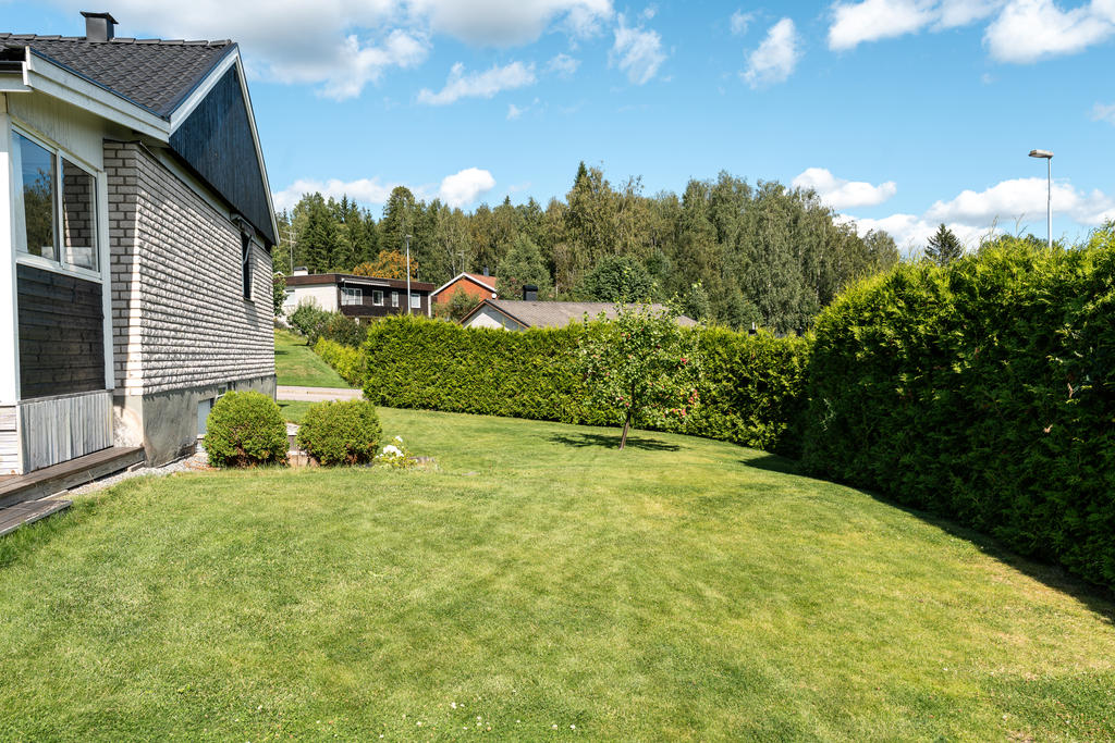 Trädgård