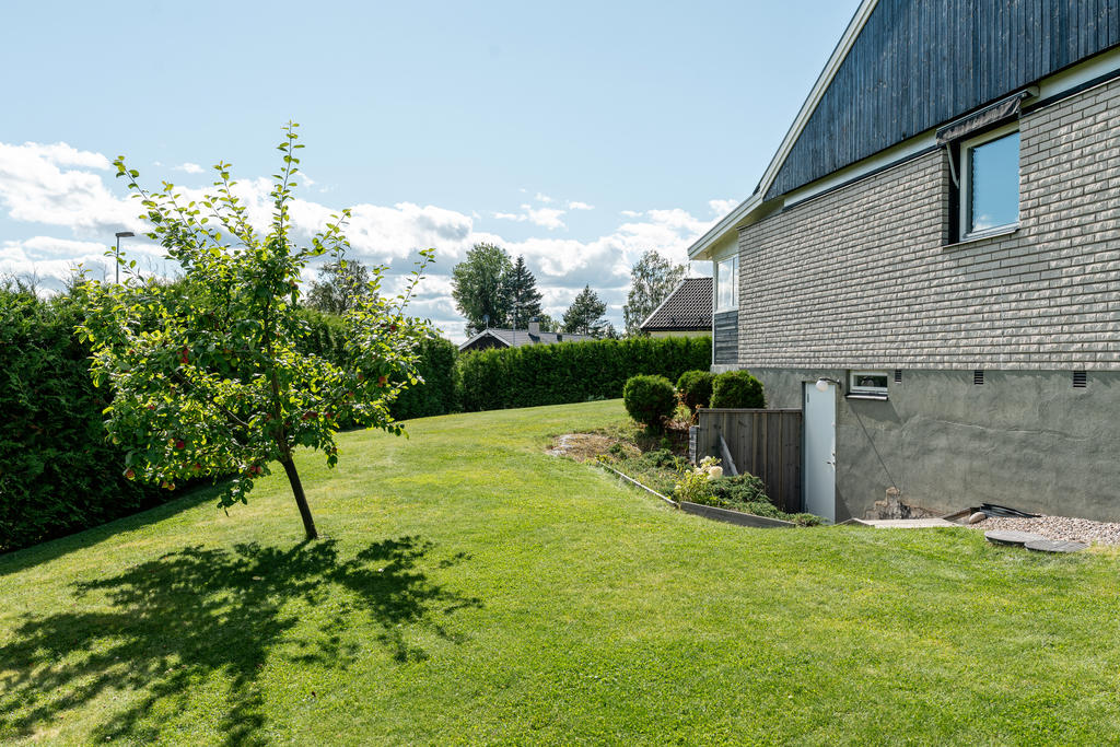 Trädgård