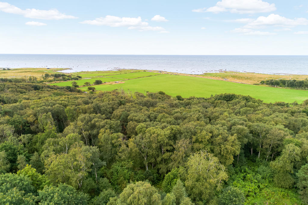 Flygbild över allmänningen mot havet