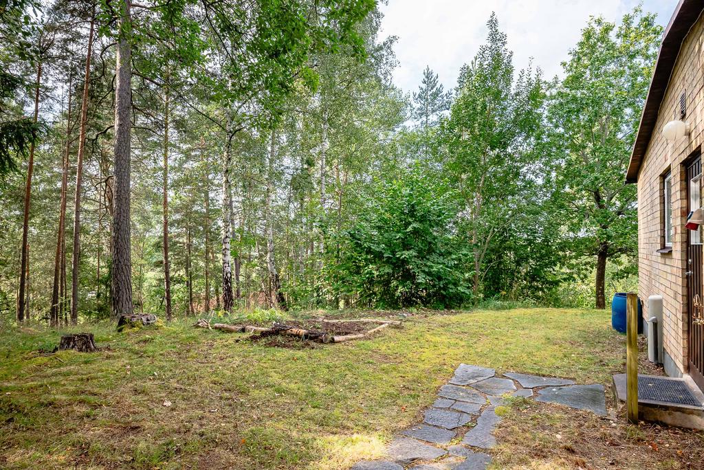 Mysig skogstomt runt huset