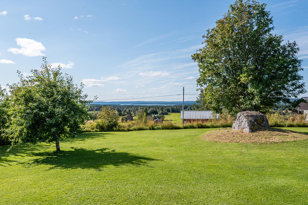 Vy från trädgård bort mot fjällkanten