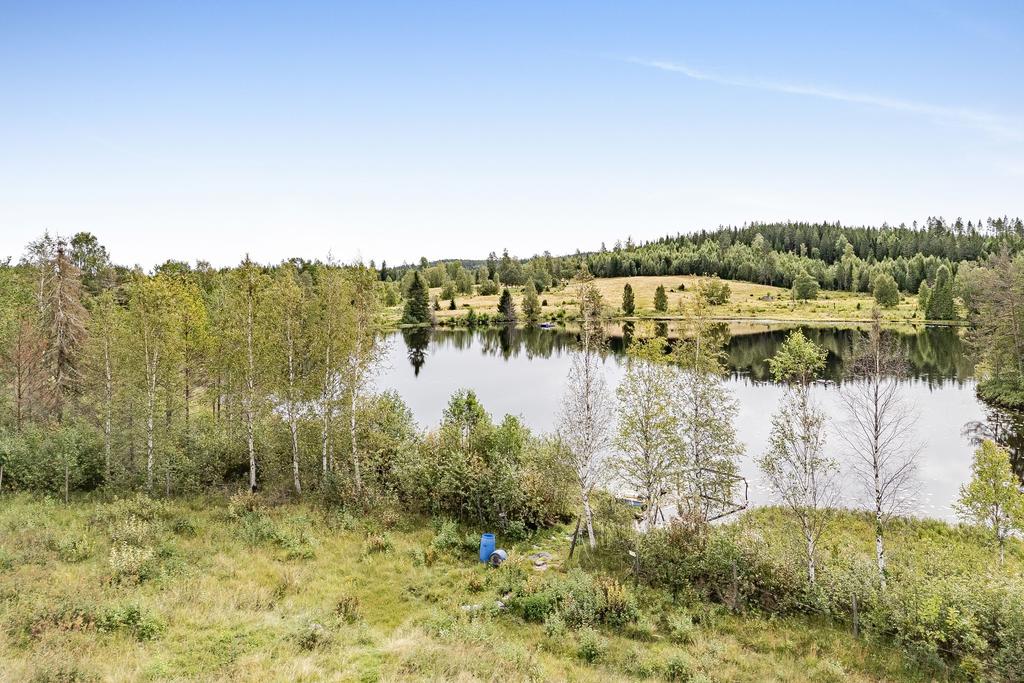 Vy nej mot tjärnen och bryggan. 