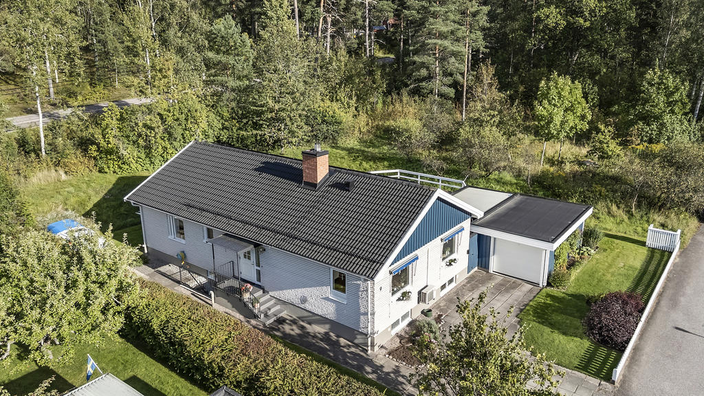 Hörnläge med skogen som granne