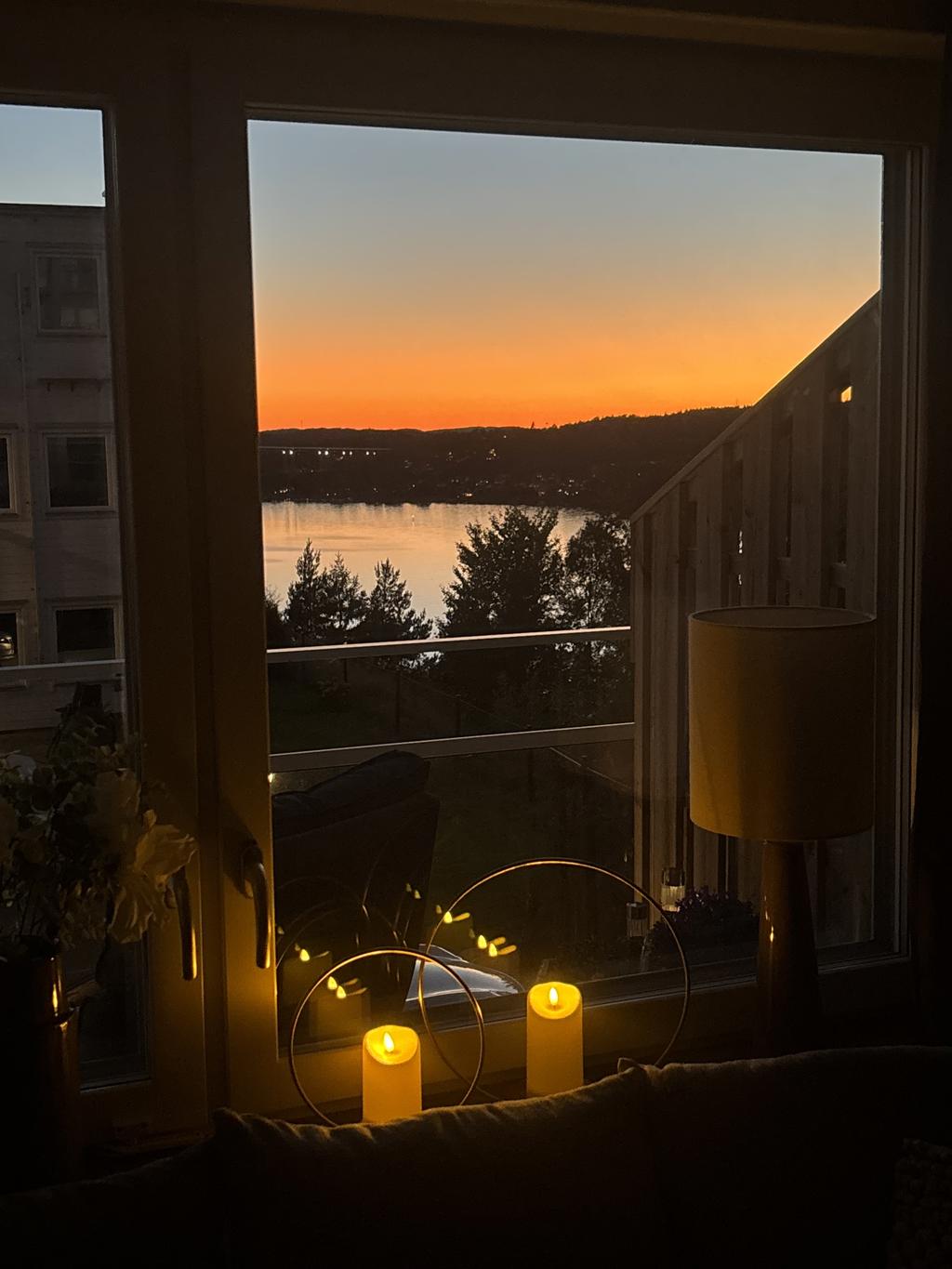Säljarens egna bild
