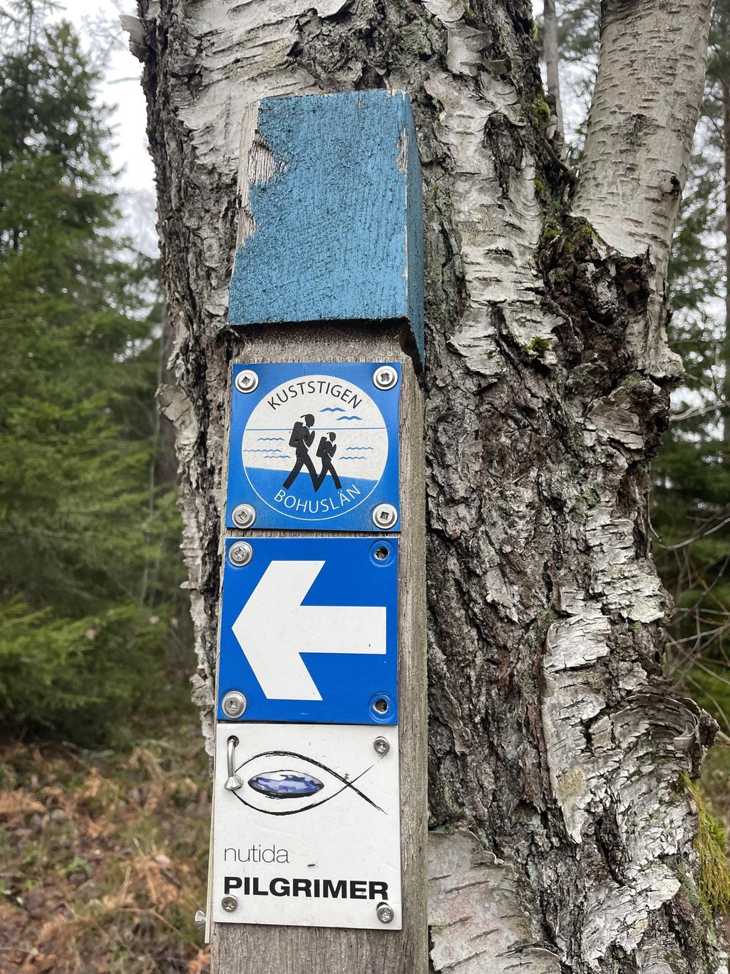 Fina promenadslingor längs vattnet, i skogen och längs de mysiga upplysta villakvarteren
