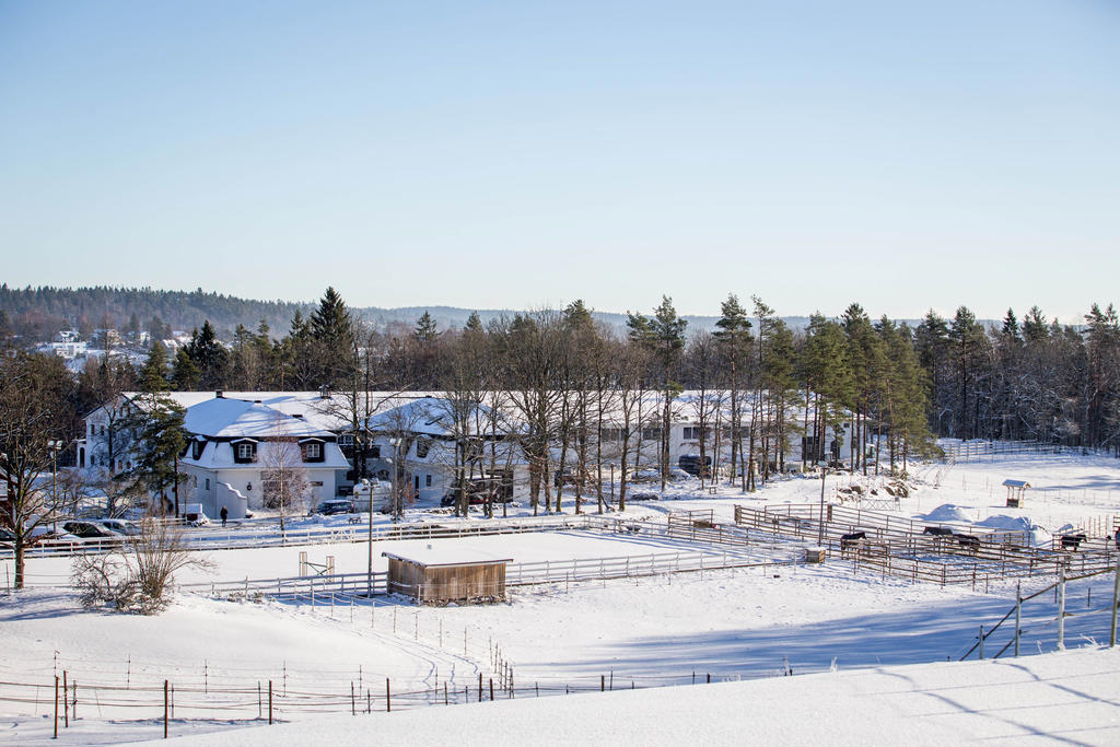 Vy över gården en vacker vinterdag