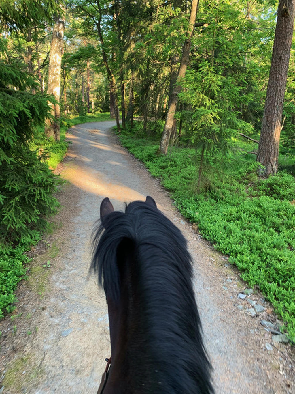 Lyxkänsla att ha naturen och egen ridväg att njuta av